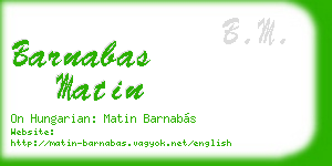barnabas matin business card